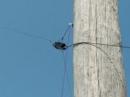 The Clue:  Barely visible up on one of the poles in the ballfield was this black box - actually a balun - that was the feedpoint for the 805-foot loop used by PRCARC at Field Day. Photo by Larry Wagoner (N5WLW)