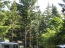 Tower trailer up and rerady.