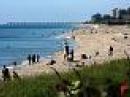 A View of Jupiter Beach from out Field Day site back porch
