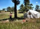 Tom Thompson, WØIVJ our skilled slingshot lead-line archer successfully shoots the line over the 40 foot Ponderosa pine trees so we can begin construction of the CW station dipoles.