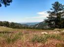 The view from our vantage point at the Betasso Preserve Field Day site looking east across the University of Colorado below the Boulder Canyon and the City of Boulder, Colorado.