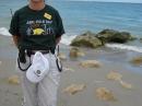 Gail Maltese KJ4KVE in her Field Tee Shirt on the Beach