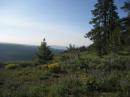 Wison Creek Canyon