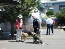 Dreamer, K9DOG, with his human Robert Clark KE7NWN. They are meeting with Officer "TJ" and his police dog.