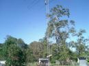 SteppIR at 50 feet