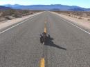 W6TAI demonstrates how little activity <i>of any kind</i> there is in the eastern Mojave desert!
