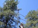 K7MWD wrestling with the six meter beam