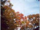 Antennas: 3el Tribander / Shorty Fourty / 80m Loop