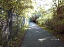 This is along the Creekside Trail.  I thought if there would
be one place I would have trouble, here it is.  Just the
opposite.  I had several of my QSOs in this section of the
trail
