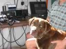 Multiop effort:  K9BRUNO and Ron, N7CE!