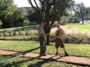 Scouts setting up all band folded dipole antenna on BSA headquarters front lawn.
