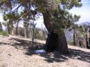 beam antenna was setup under the shade (tree)