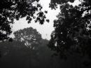 The folded dipole in the midst of the down pour.