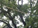 This antenna started out as firewood and end up as firewood!