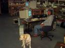 Mitch-KC0JFY is the hardest working GOTA op I've seen.  That rig was manned most of the time.  Honey, the Yellow Lab, just couldn't convince Mitch to let her try 40M for a few minutes.  Here is Mitch thanking Honey for keeping those pesky cats out of the shack.
