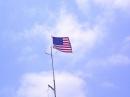 The Stars and Stripes in all it's beauty!