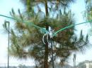 Close up shot of K6AFN's field day Green Wire Dipole for 10M. 
