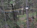 My Dad's slinky antenna, which didn't garner any contacts on 6 meters, but helped gain valuable experience anyway