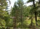 An all band dipole in between the trees of north central Washington state.
