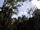 2m-2304 array  single op lo power
