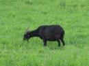 Visit from a local up in FN26! We could almost hear the Banjo's playing! ;-)