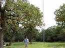 Here's how we lowered the tower after the contest.  We removed the tribander with the bucklift and then loosened one of the rope guys while keeping it wrapped around the tree.