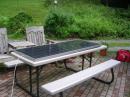 Solar panel and generator