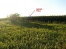 Have to deal with the corn here in Minnesota in August!