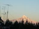 Mount Hood off to the East of the site