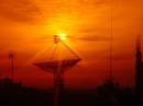 Artistic view of dish