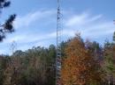 Multiplier Tower (70')