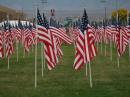 1000 flags