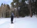Snowshoes required on the trail.