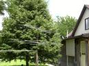 K0BJ's 2-band "Death Array" at a breathtaking 10' AGL. I've gotta get that 90' tower up for next E season.....