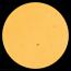 Sunspots AR3242 and AR3245 have 'beta-gamma' magnetic fields that harbor energy for M-class solar flares. [Photo courtesy of SDO/HMI]