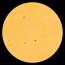 All of these sunspots have simple, stable magnetic fields. Strong solar flares are unlikely today. [Photo courtesy of NASA SDO/HMI]